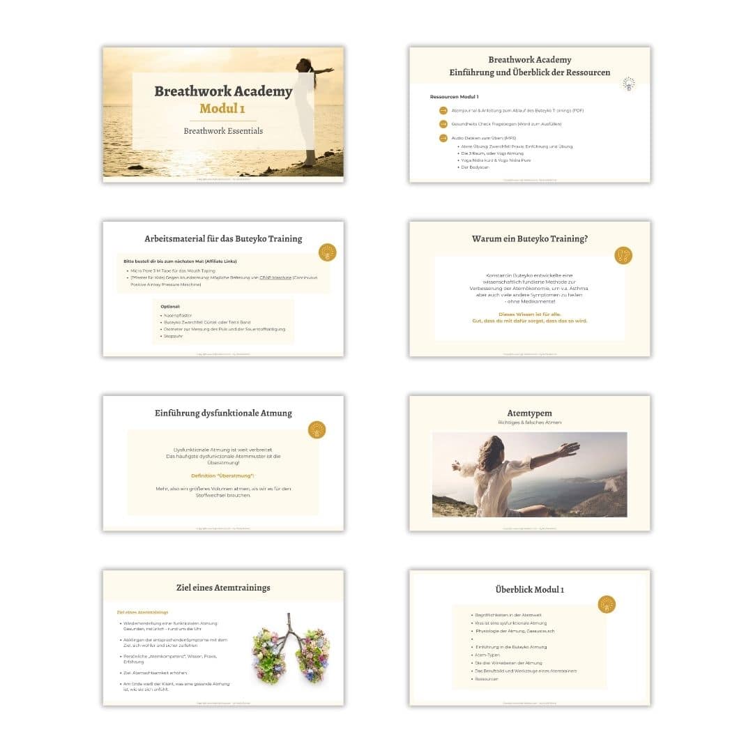 Onlinekurs Design Beispiel Elopage - Agi Wee - 2